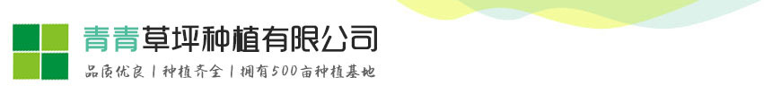 AG视讯